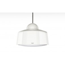 Best Hostaria белая